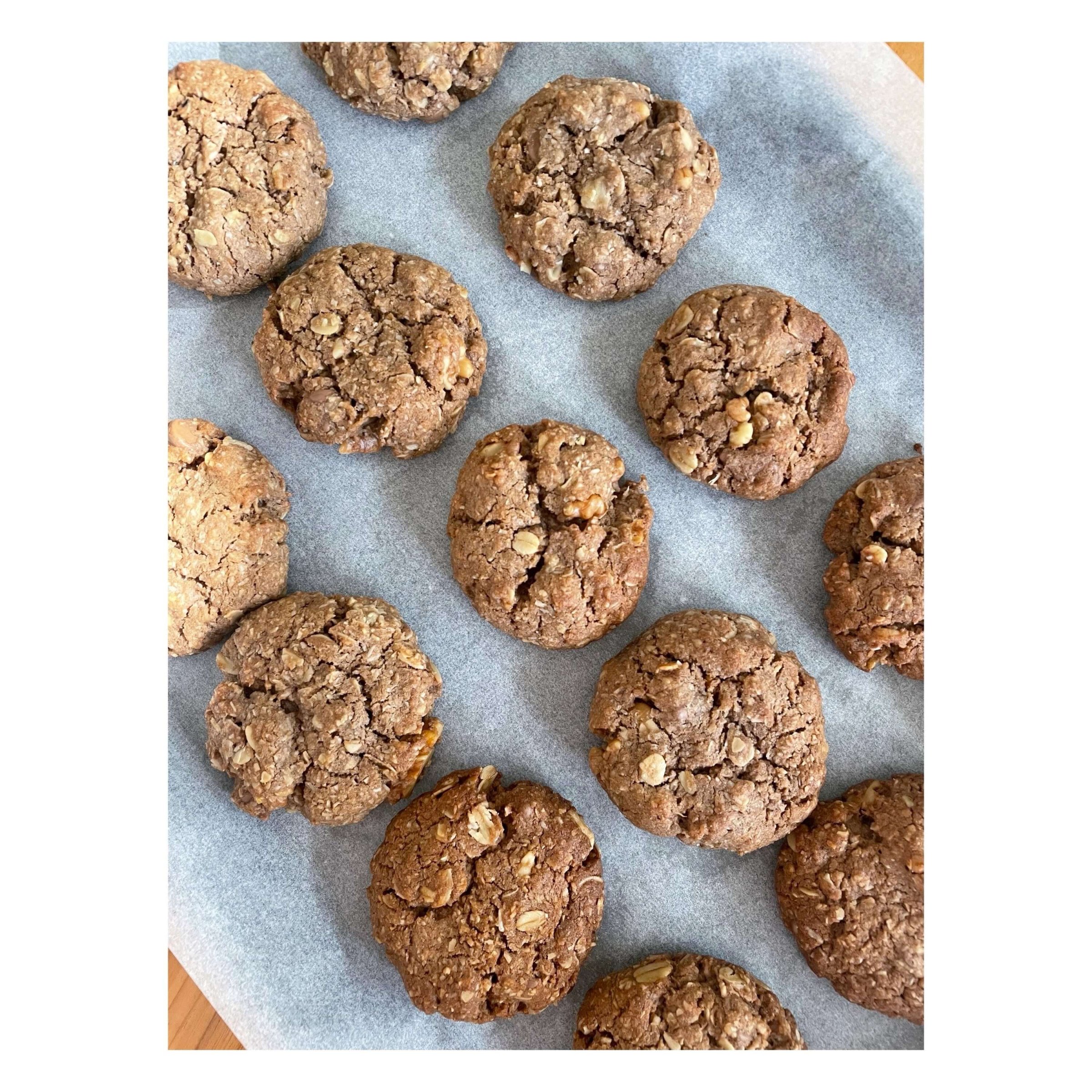 Choc Nut Lactation Cookie Recipe  (V, DF)