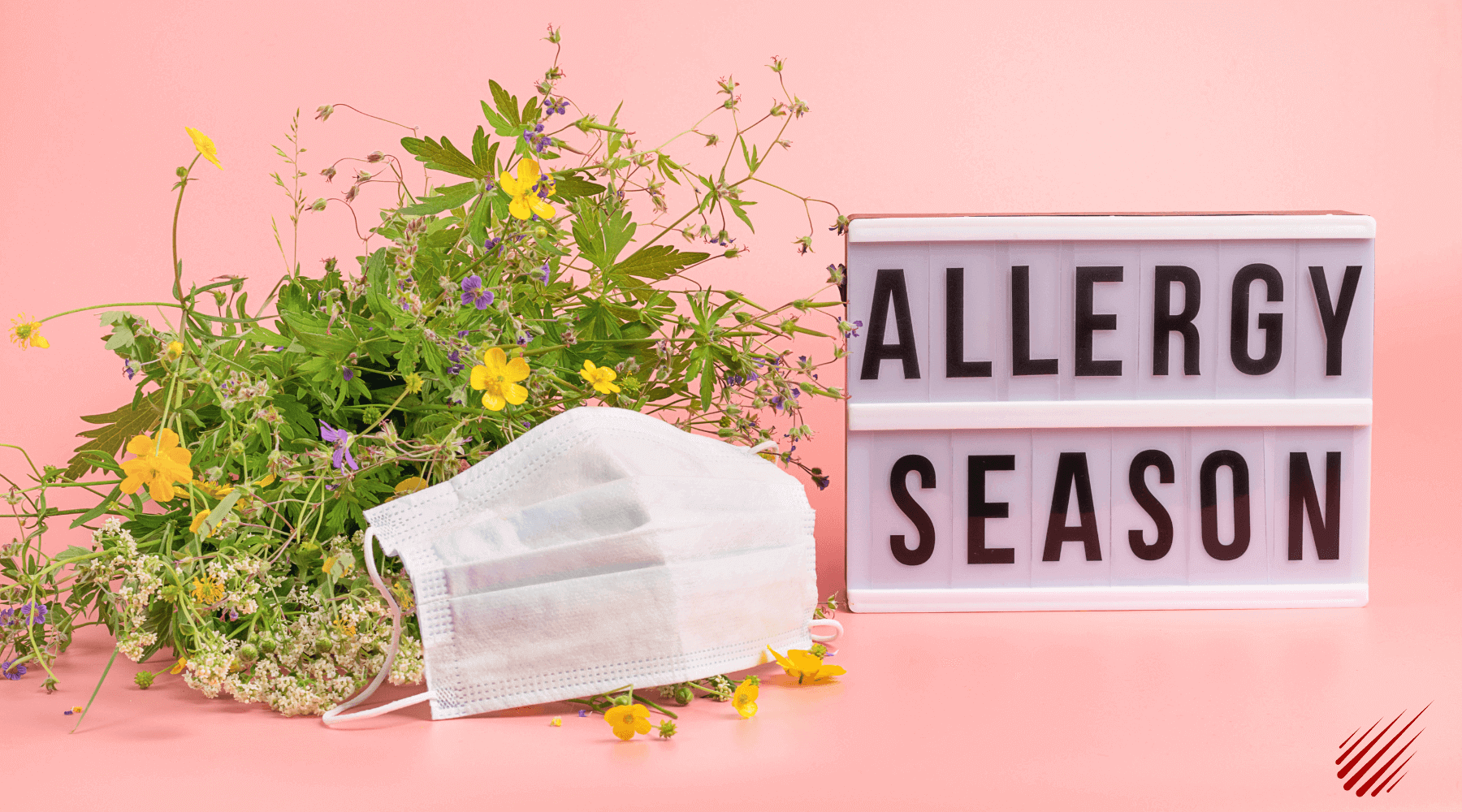 What Are Allergies & How Do I Treat Them?