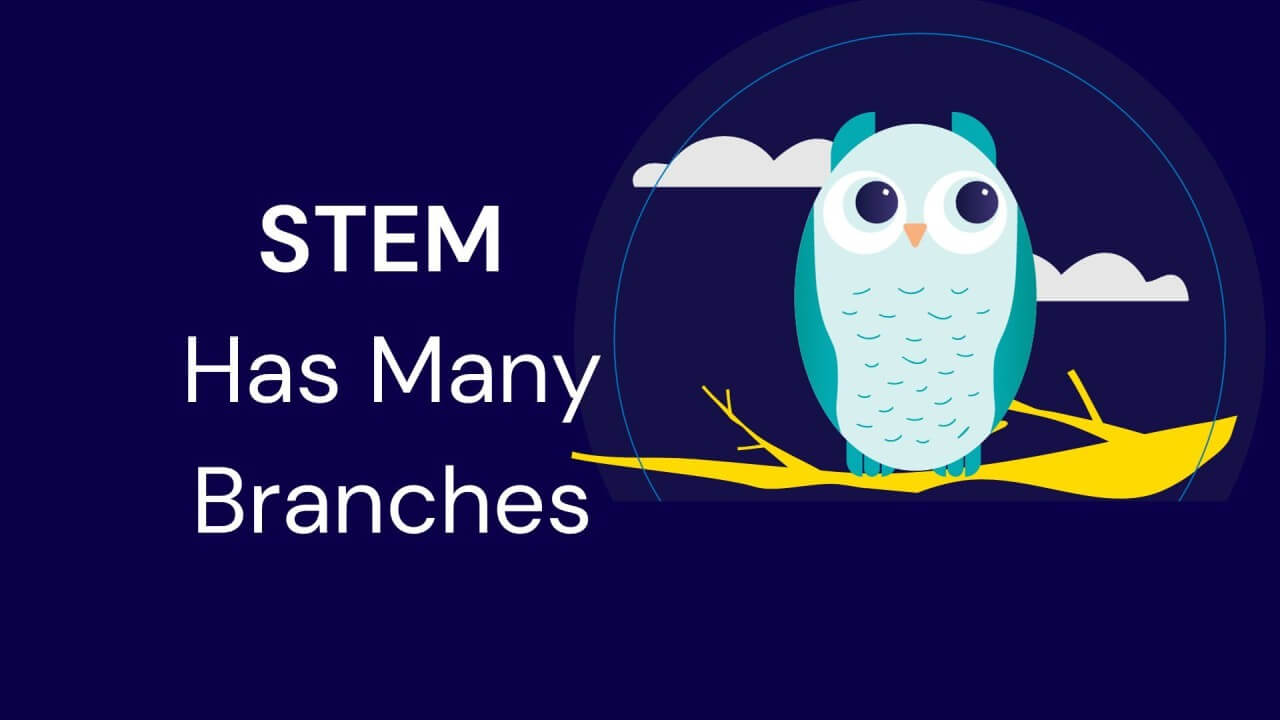 STEM Has Many Branches