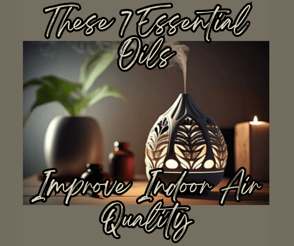 Air Quality: 7 Essential Oils to Improve Your Environment