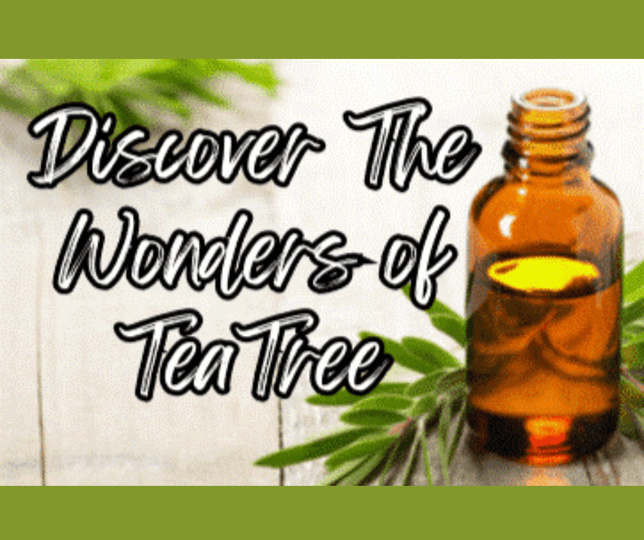 Tea Tree Essential Oil: Highlighting the Wonders