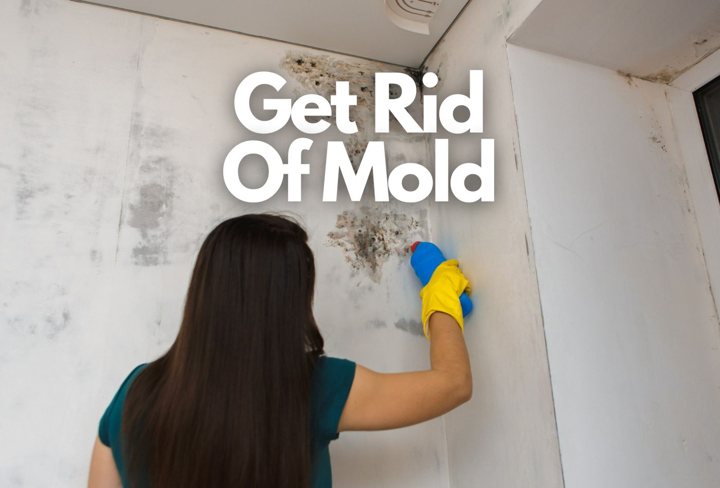 Get Rid of Mold: Effective Tips and Technique to Remove Mold