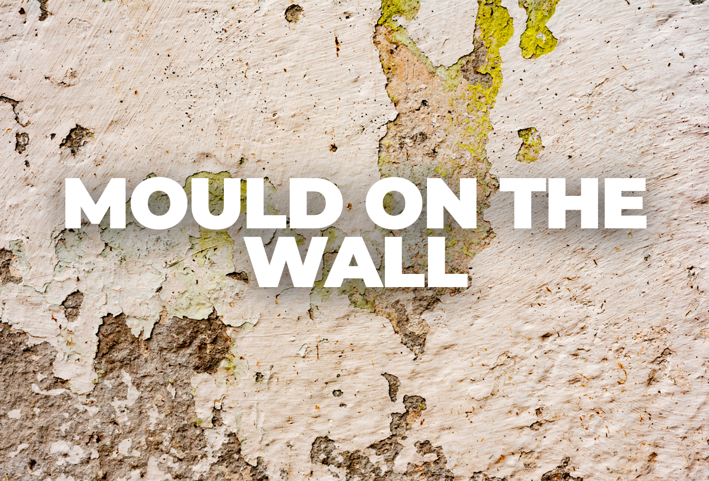 Mould on the Wall: Causes, Solutions, and Prevention Tips
