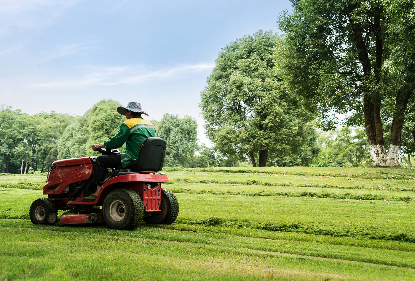 grass cutting