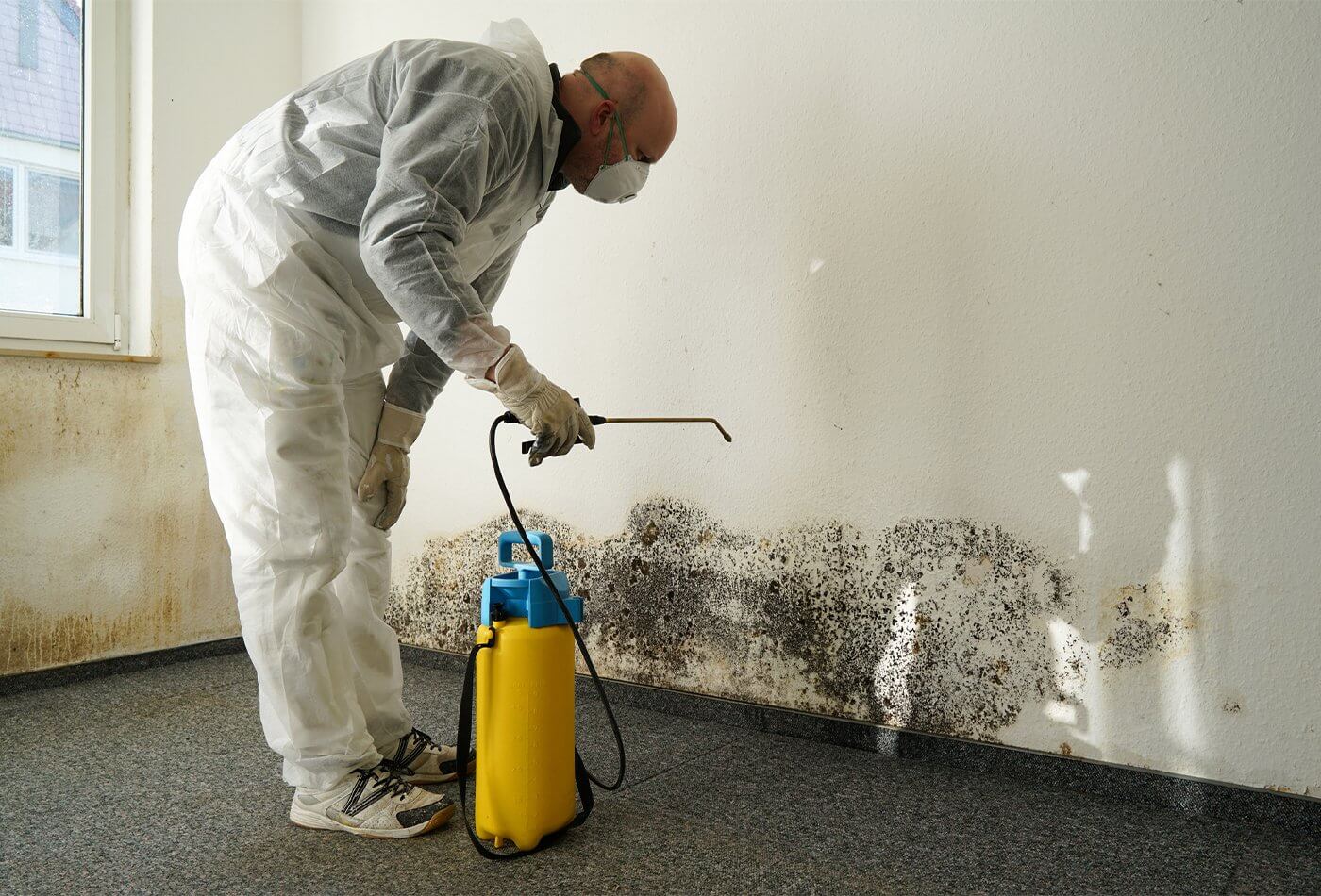 How to Prevent Mould