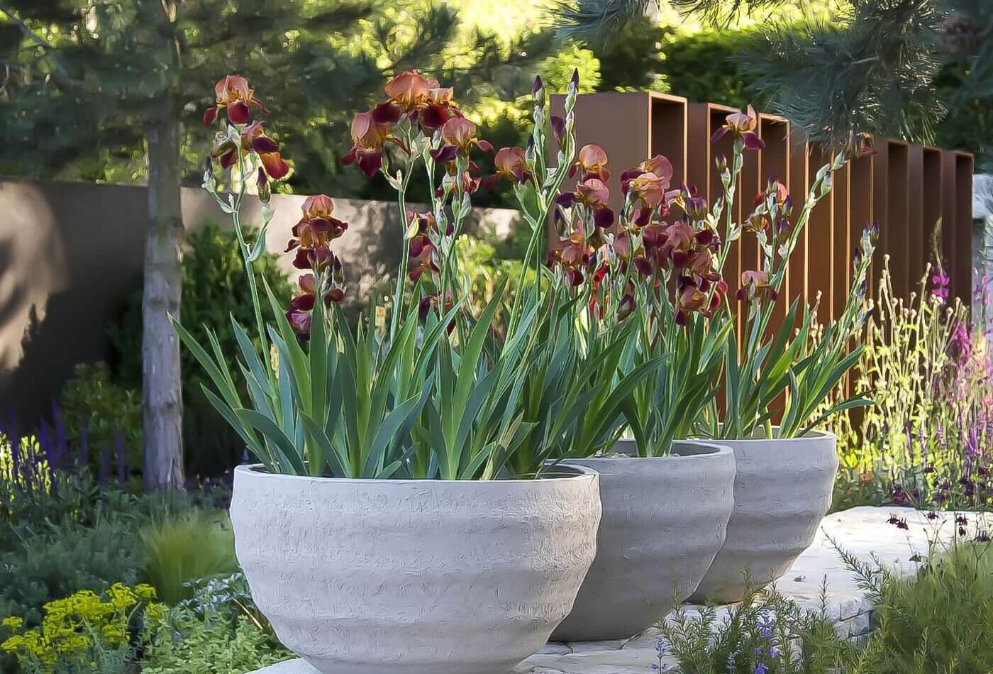 Large With Pots