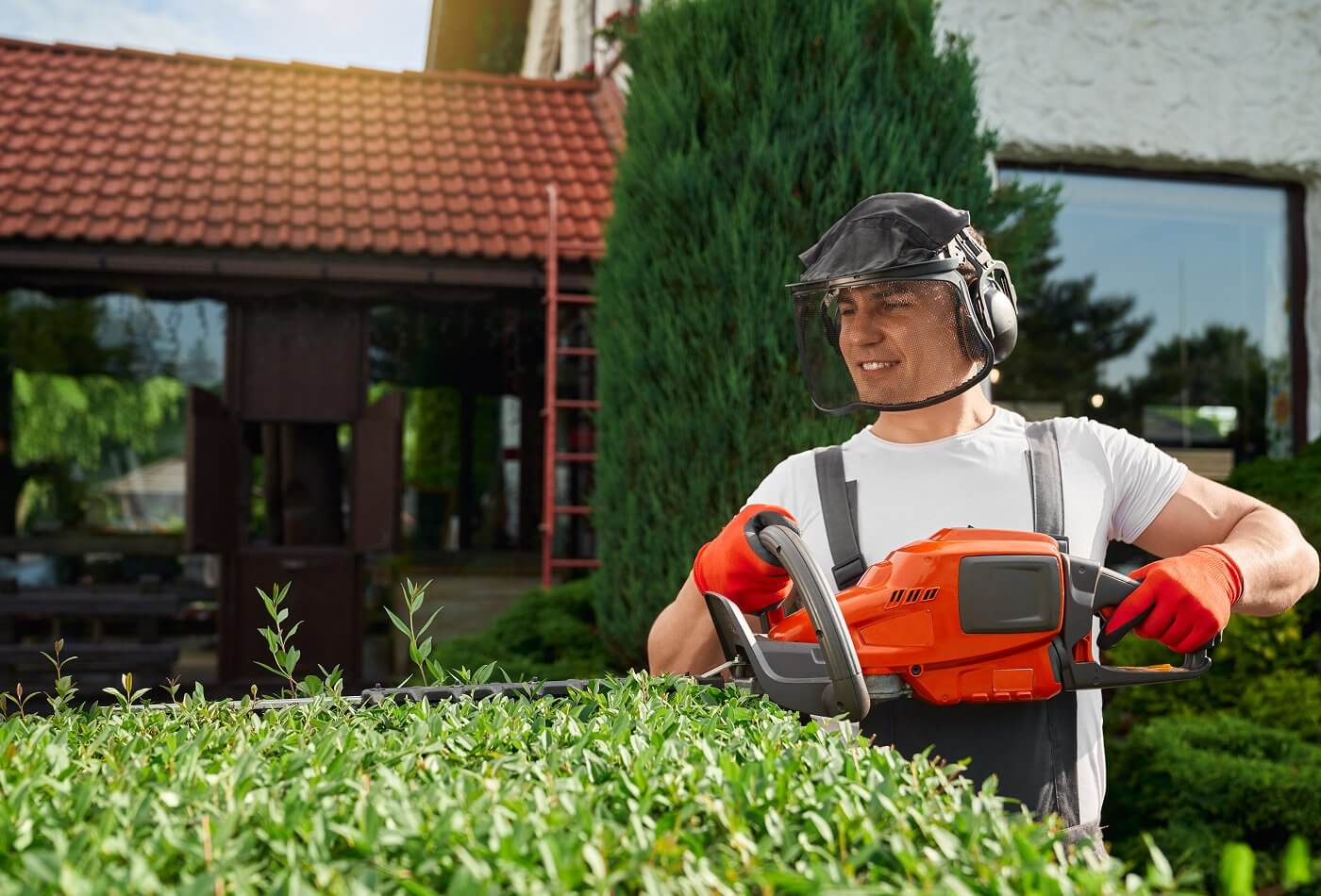 grass cutting