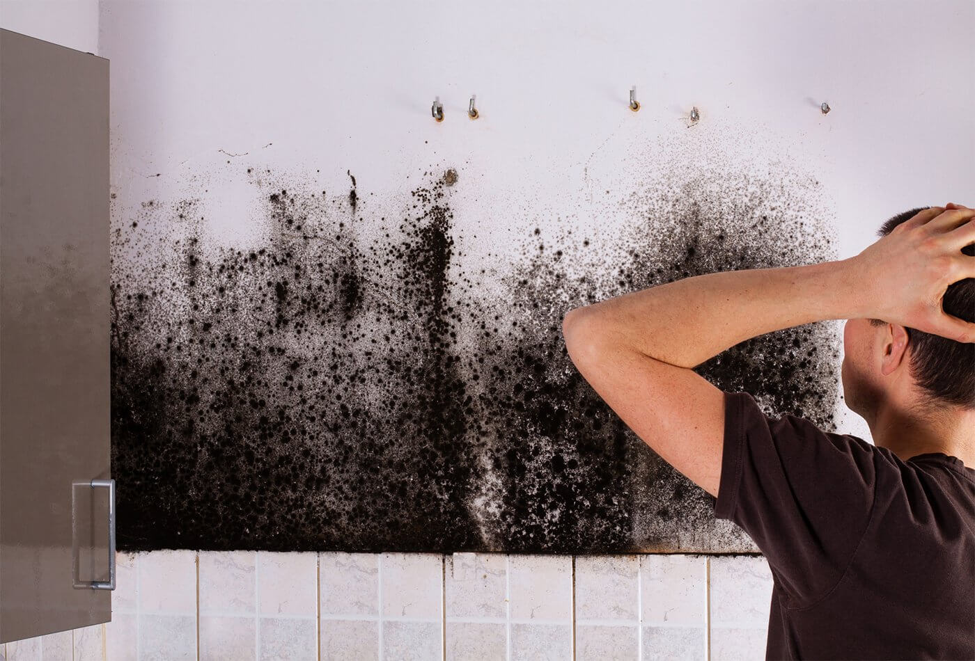 What Causes Mould on the Wall?