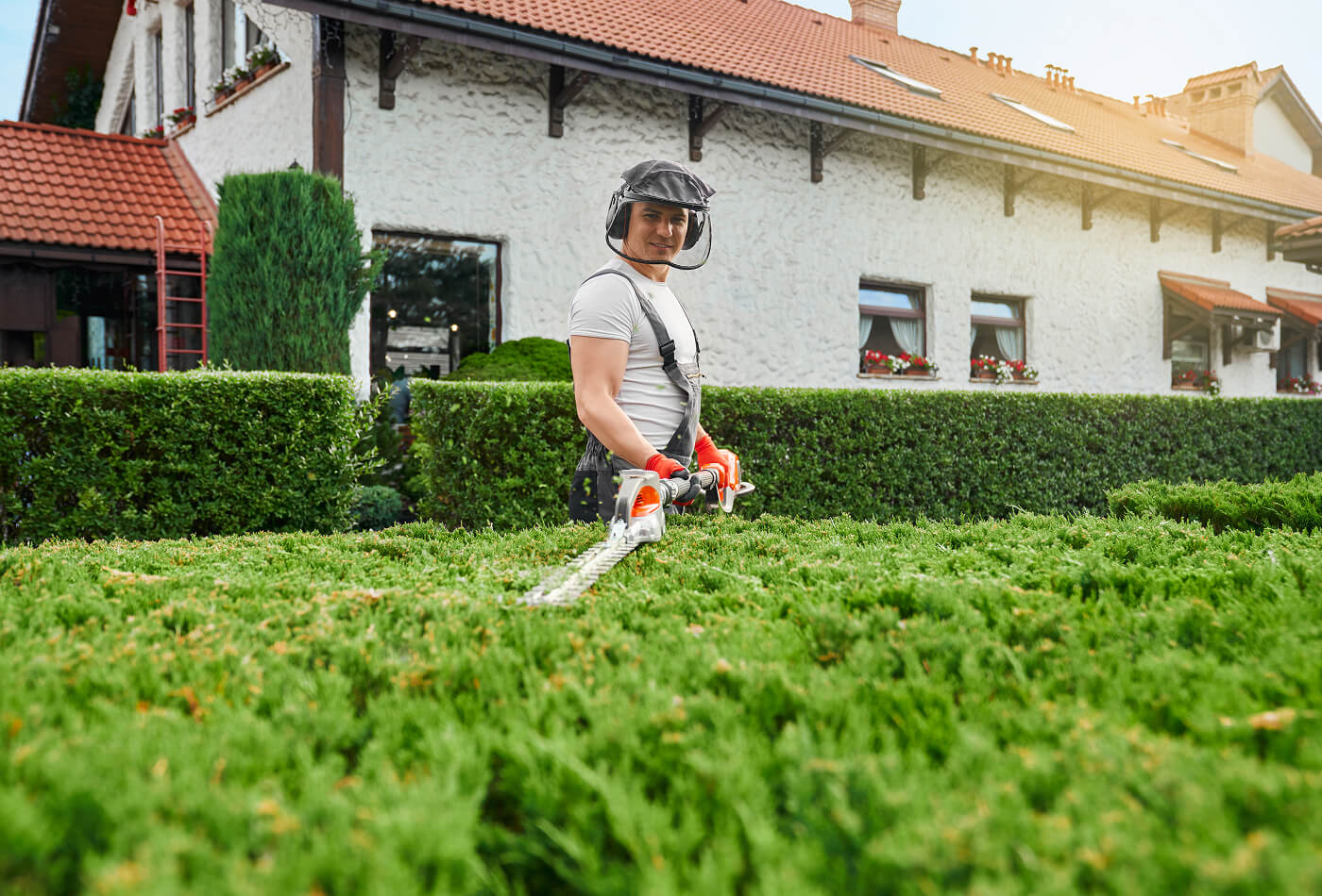 grass cutting