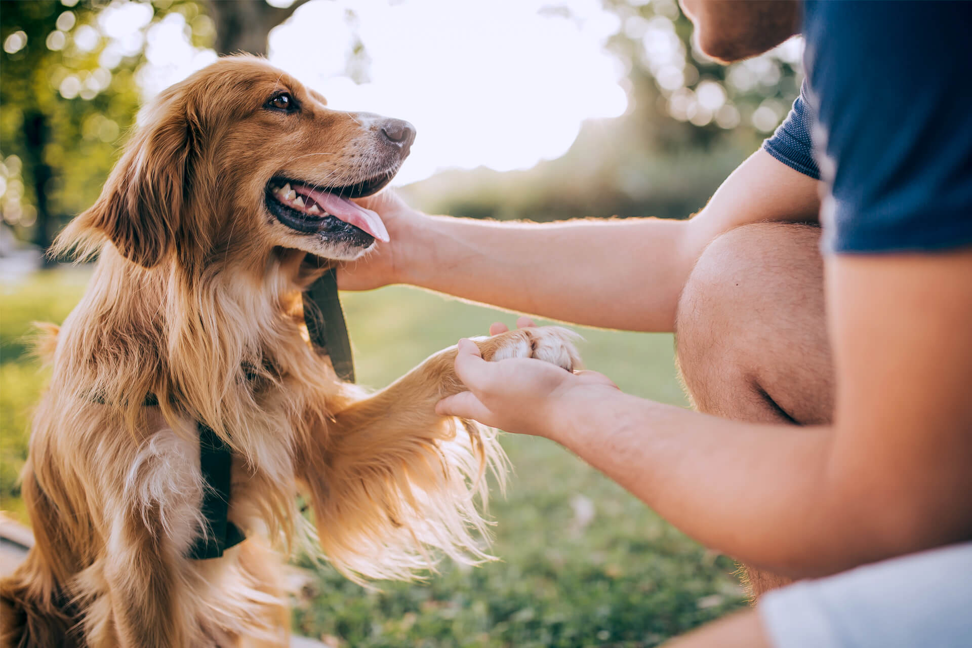 ANXIETY VS. DEPRESSION IN DOGS:  HOW TO SPOT THE SIGNS AND HELP YOUR PUP FEEL THEIR BEST