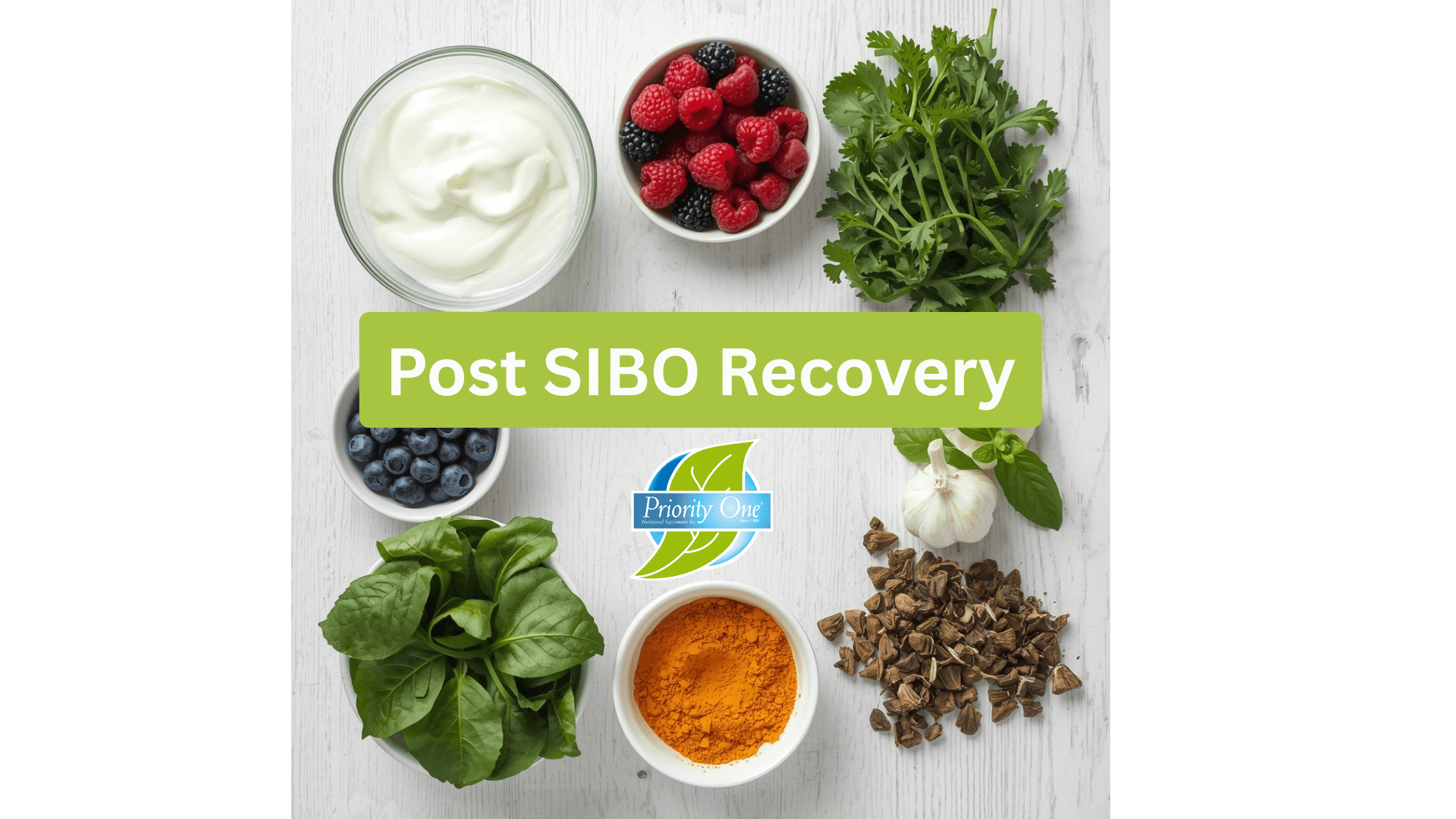 Post-SIBO Recovery: How to Rebuild and Strengthen Your Gut - Priority One  Nutritional Supplements