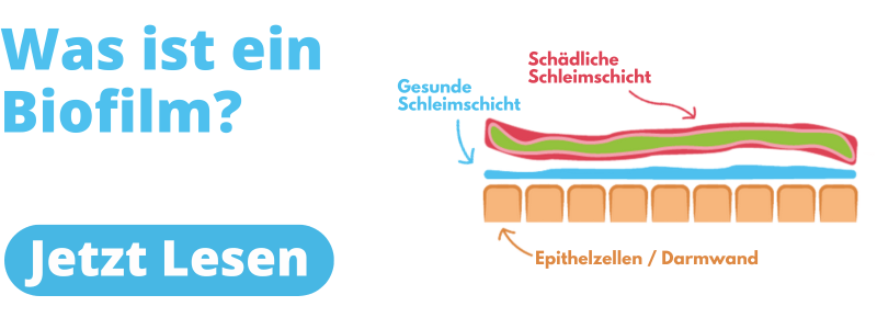 Biofilm