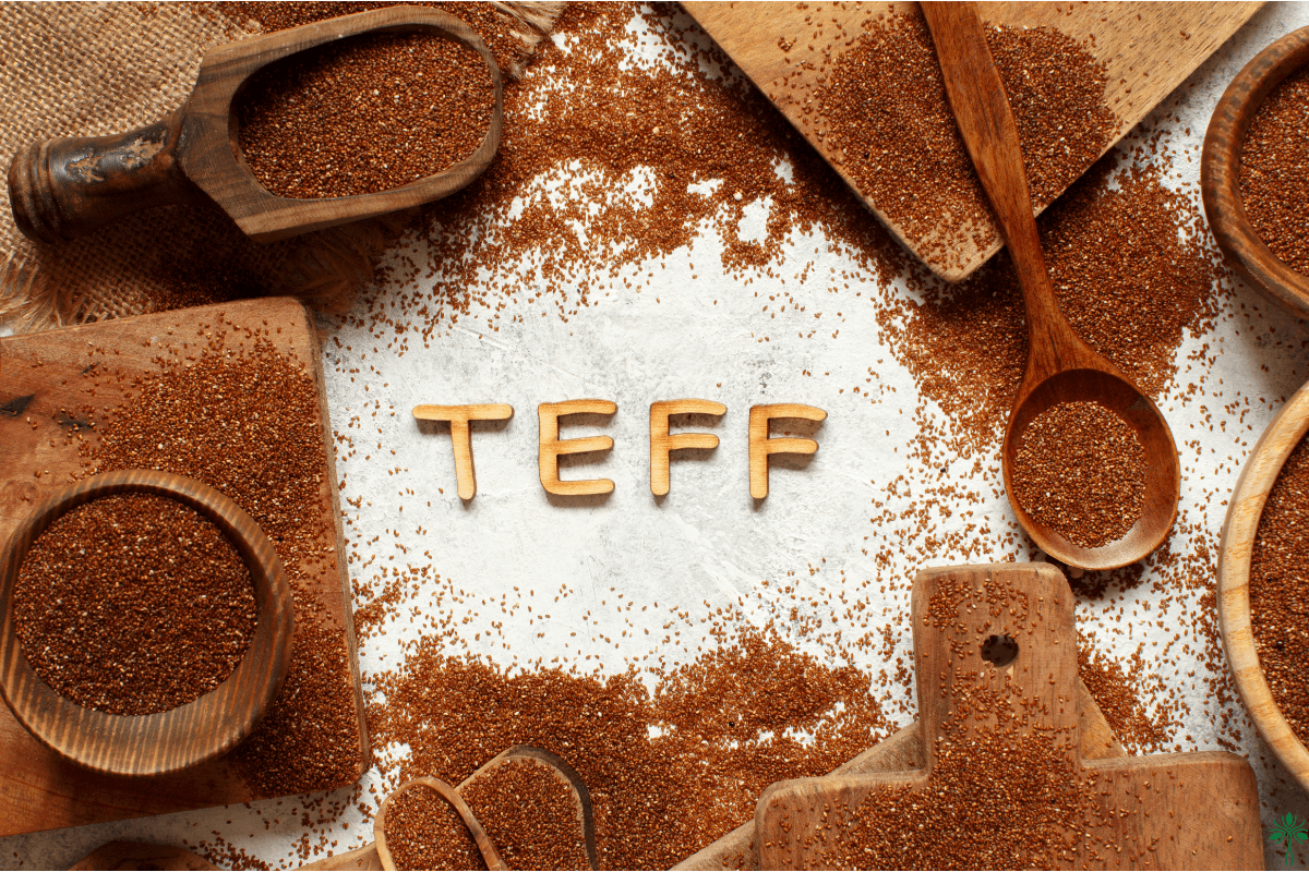 Teff Mehl