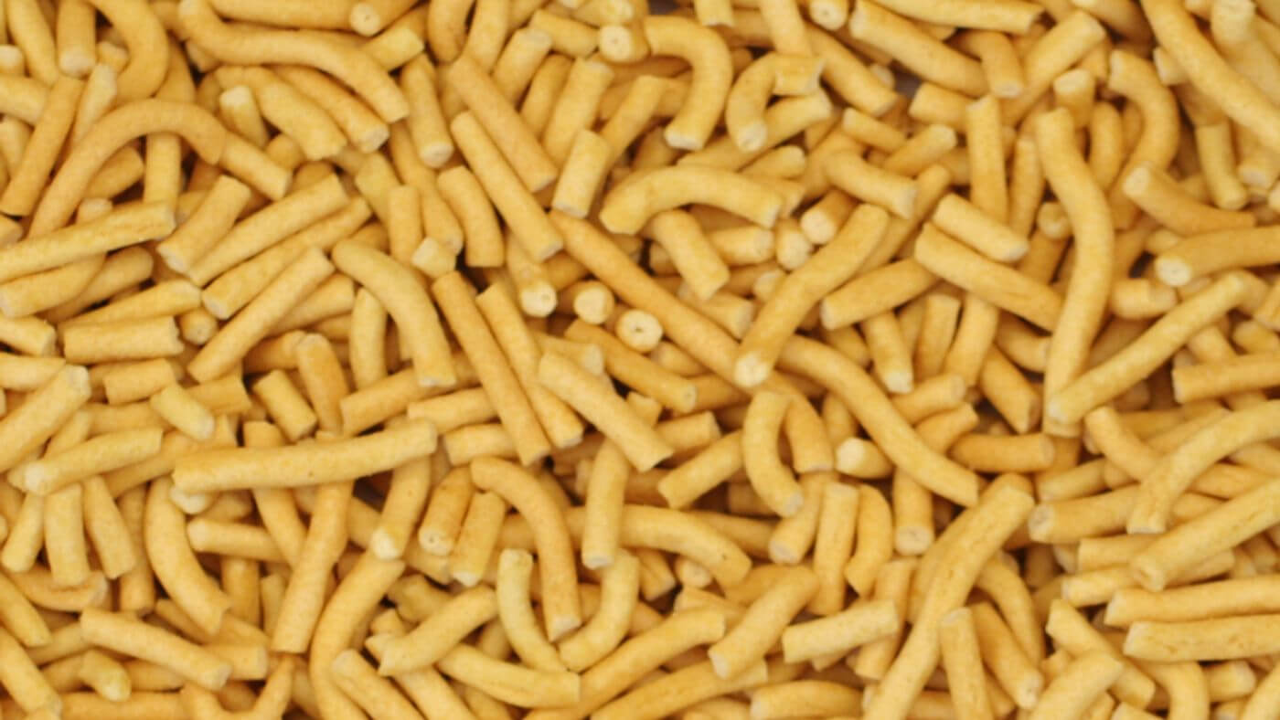 Can Parrots Eat Garlic? Parrot Essentials