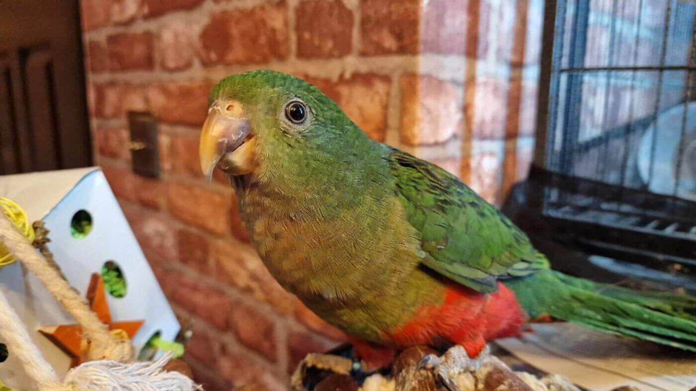 Bobby lovingly gazing at Catherine