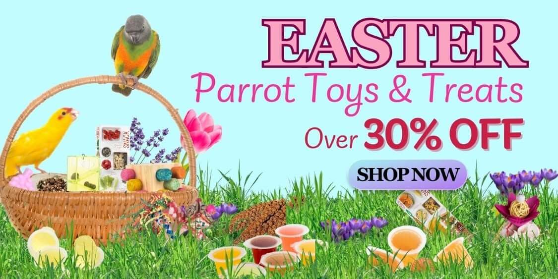 Over 30% OFF Easter Parrot Treats & Toys