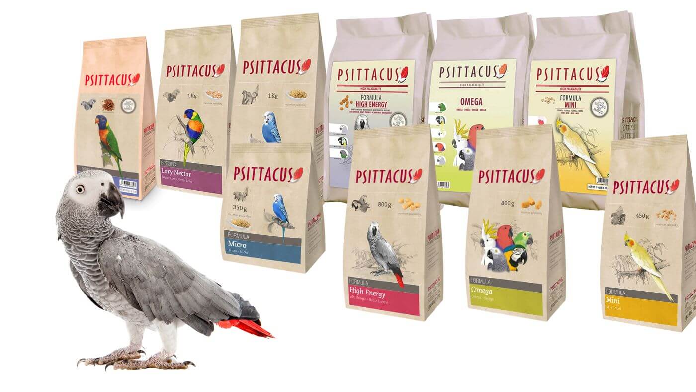 Psittacus Diets