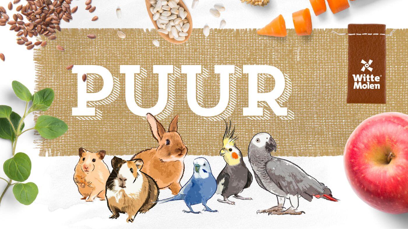 PUUR Logo