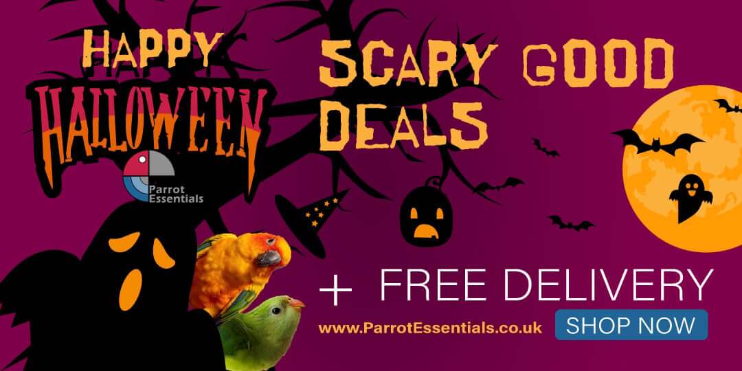 Happy Halloween from Parrot Essentials