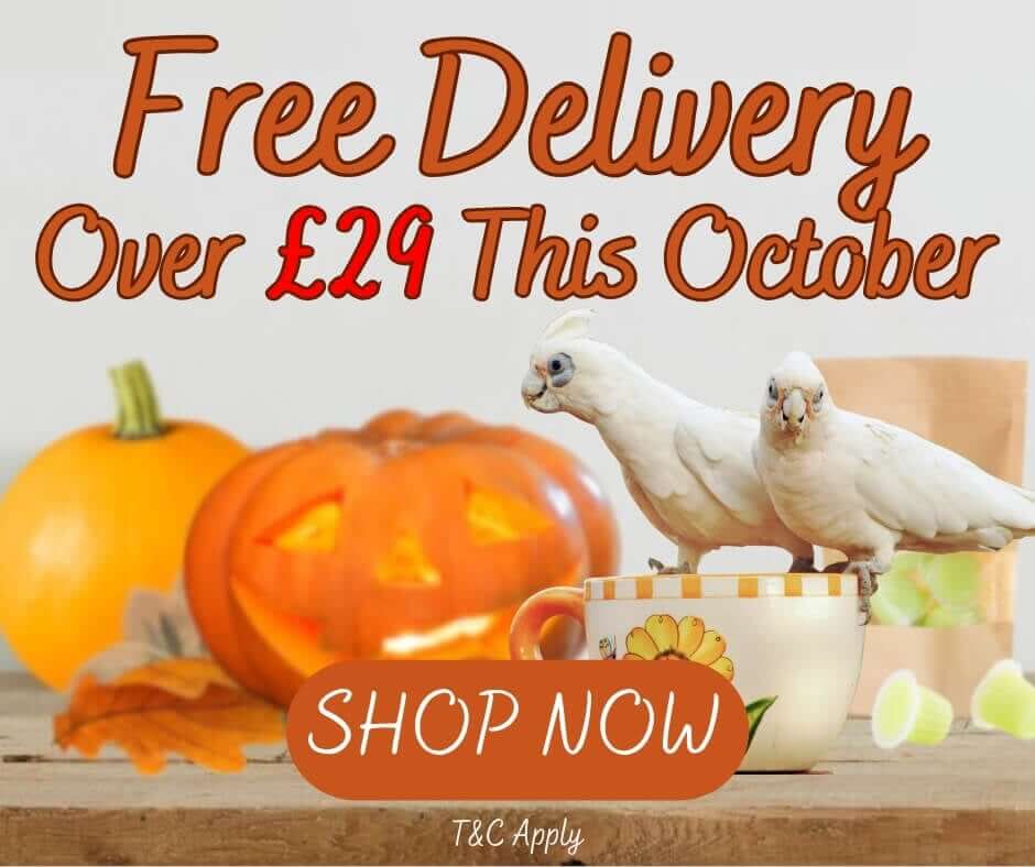 Free Standard Delivery This October