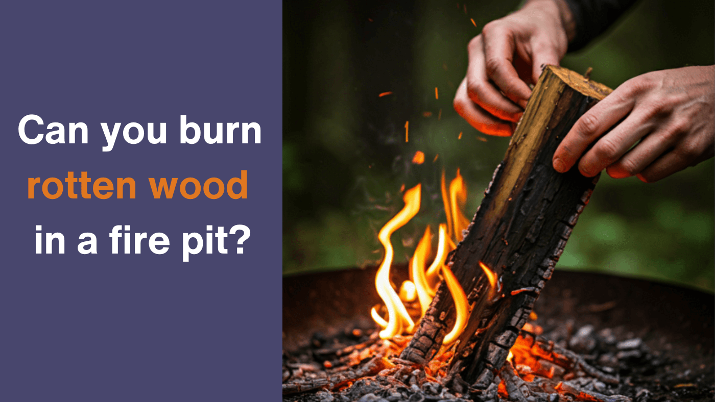 A close-up image of a hand placing a piece of rotten wood onto a fire. The wood is dark and decaying, with visible signs of mold and rot.