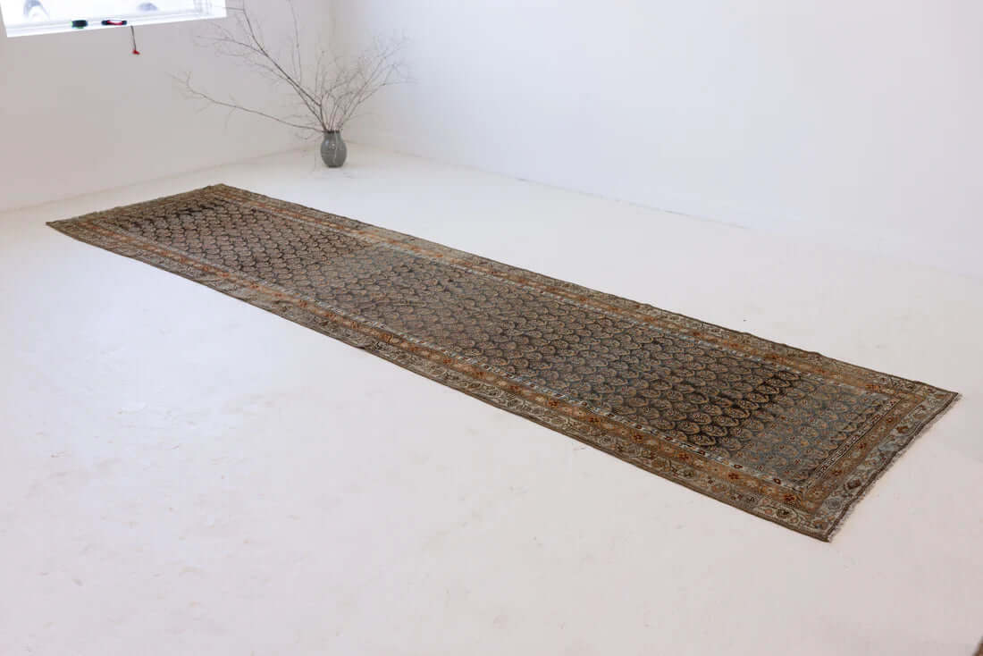 Our Favorite Newly-Launched Rugs