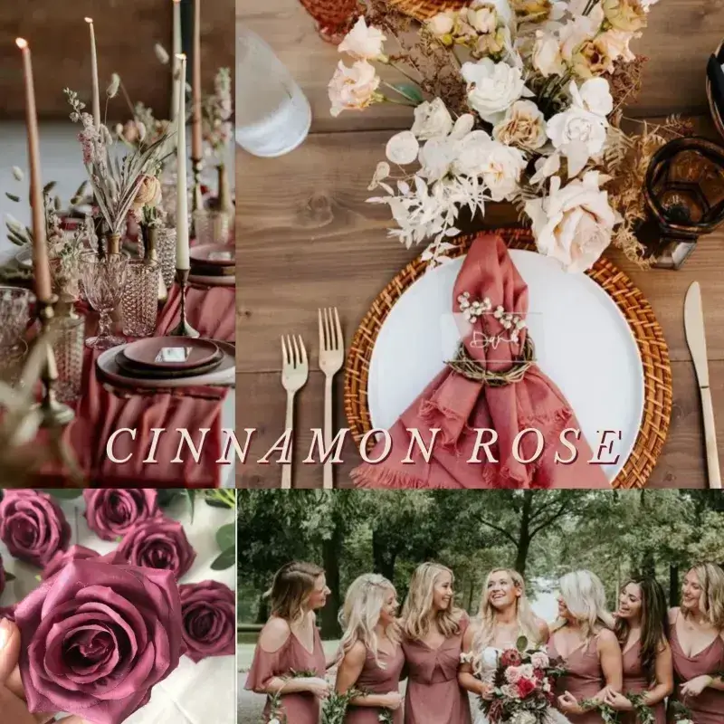 Cinnamon Rose