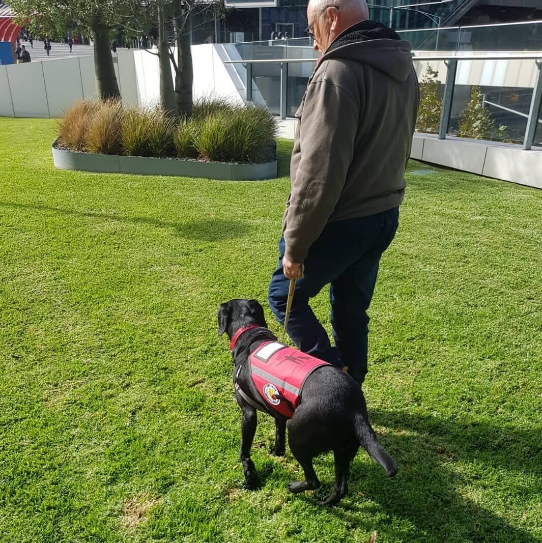 Koda with her veteran