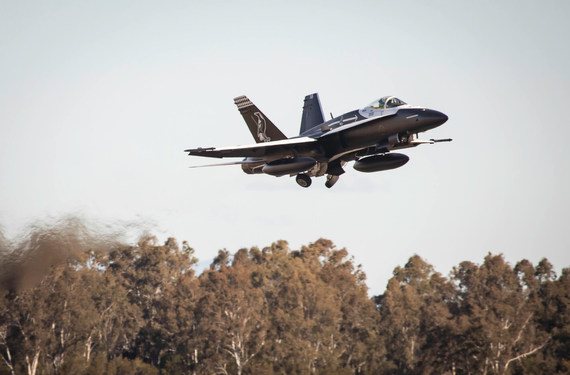 RAAF Hornet FA-18