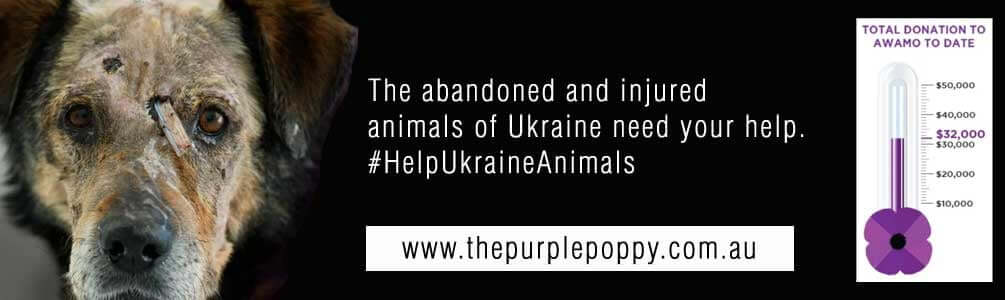 UkraineAppeal2023