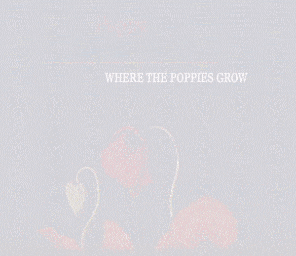 Where The Poppies Grow