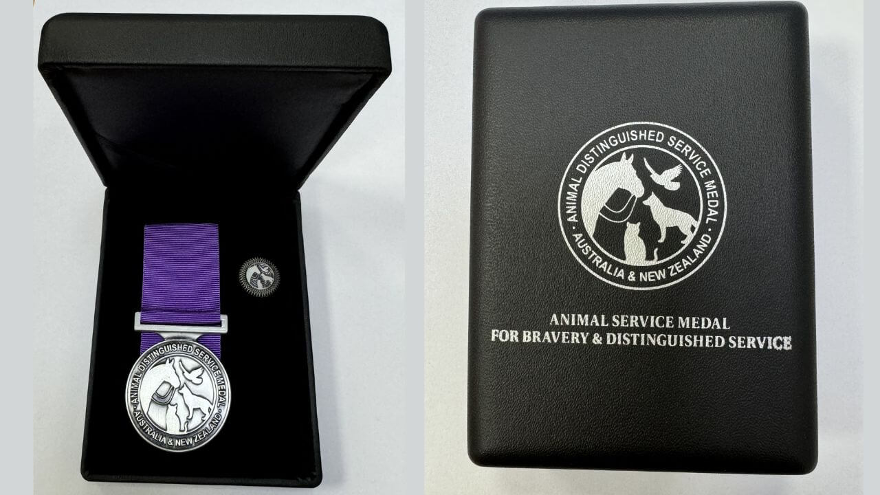 The Inaugural Australian Animal Distinguished Service Award: Recognises War Animals