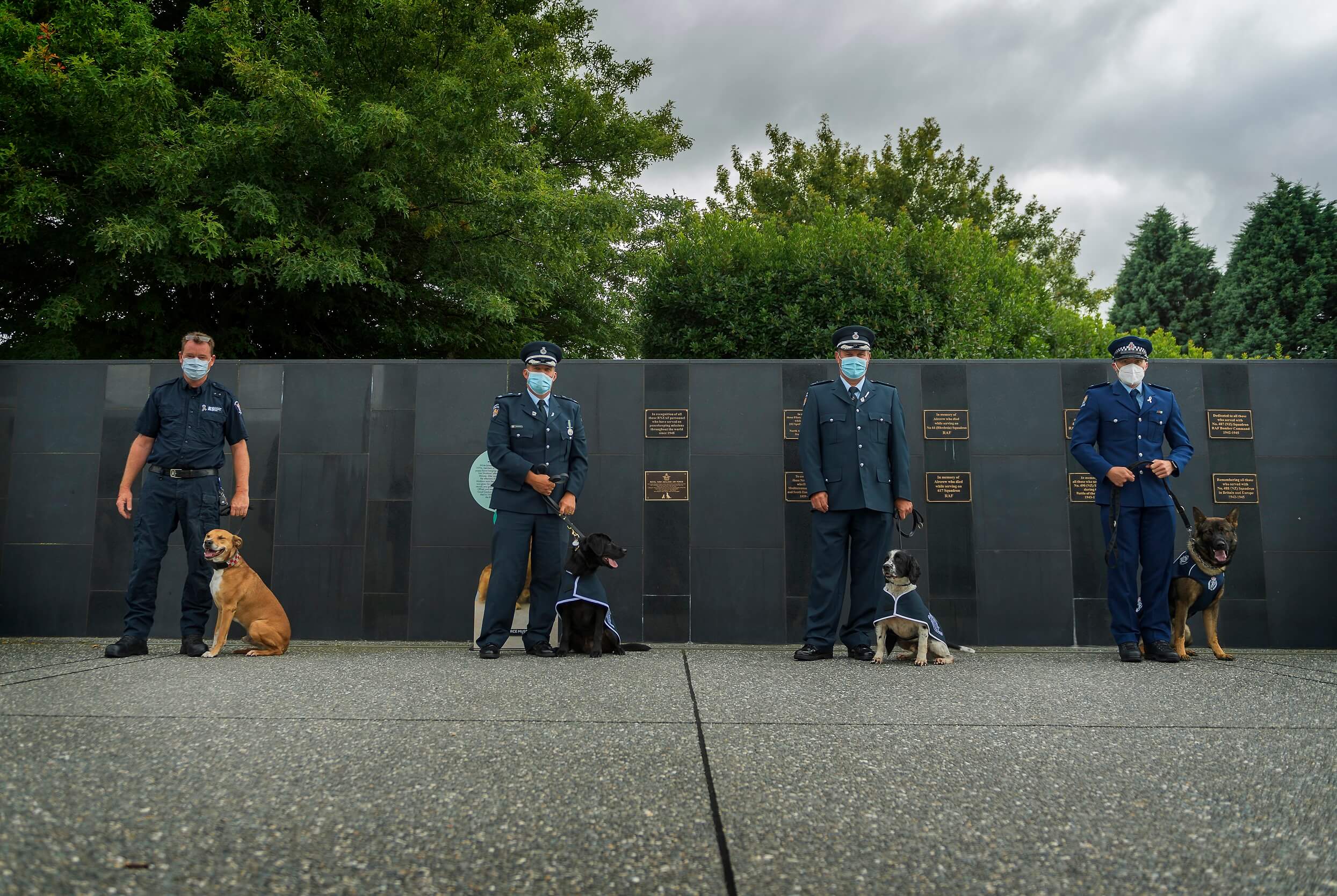 National Day for War Animals