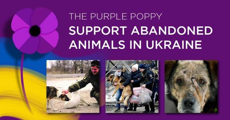 The Hon. Mark Pearson MLC Commends and Supports the Work of Australian Animal Aid for Animals in Ukraine