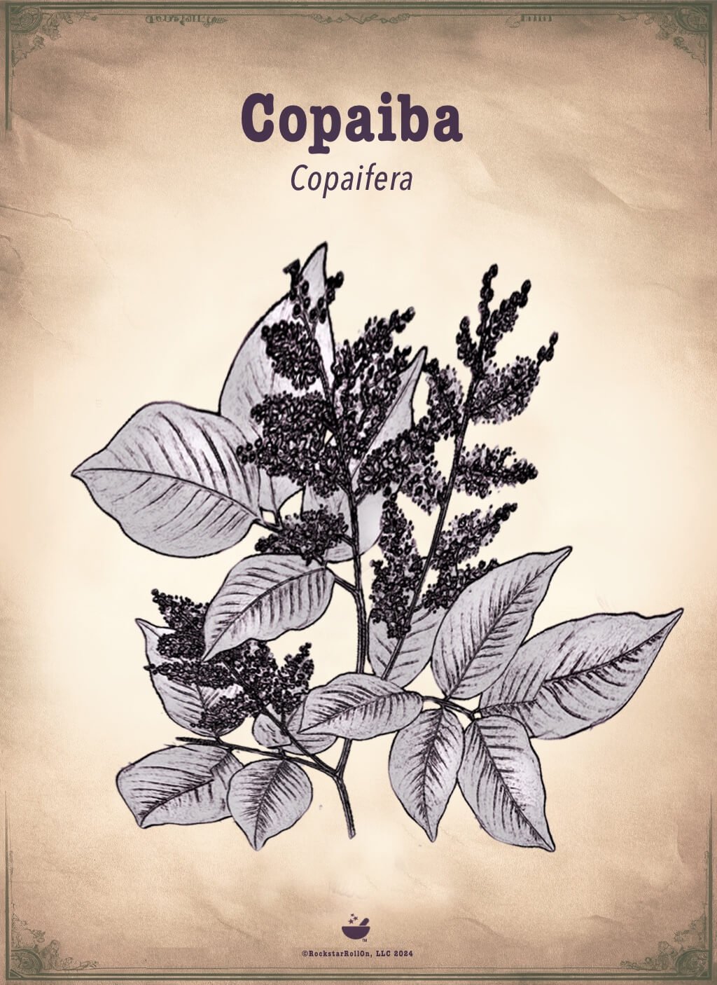 Copaiba | Our Ultimate Botanical Amplifier