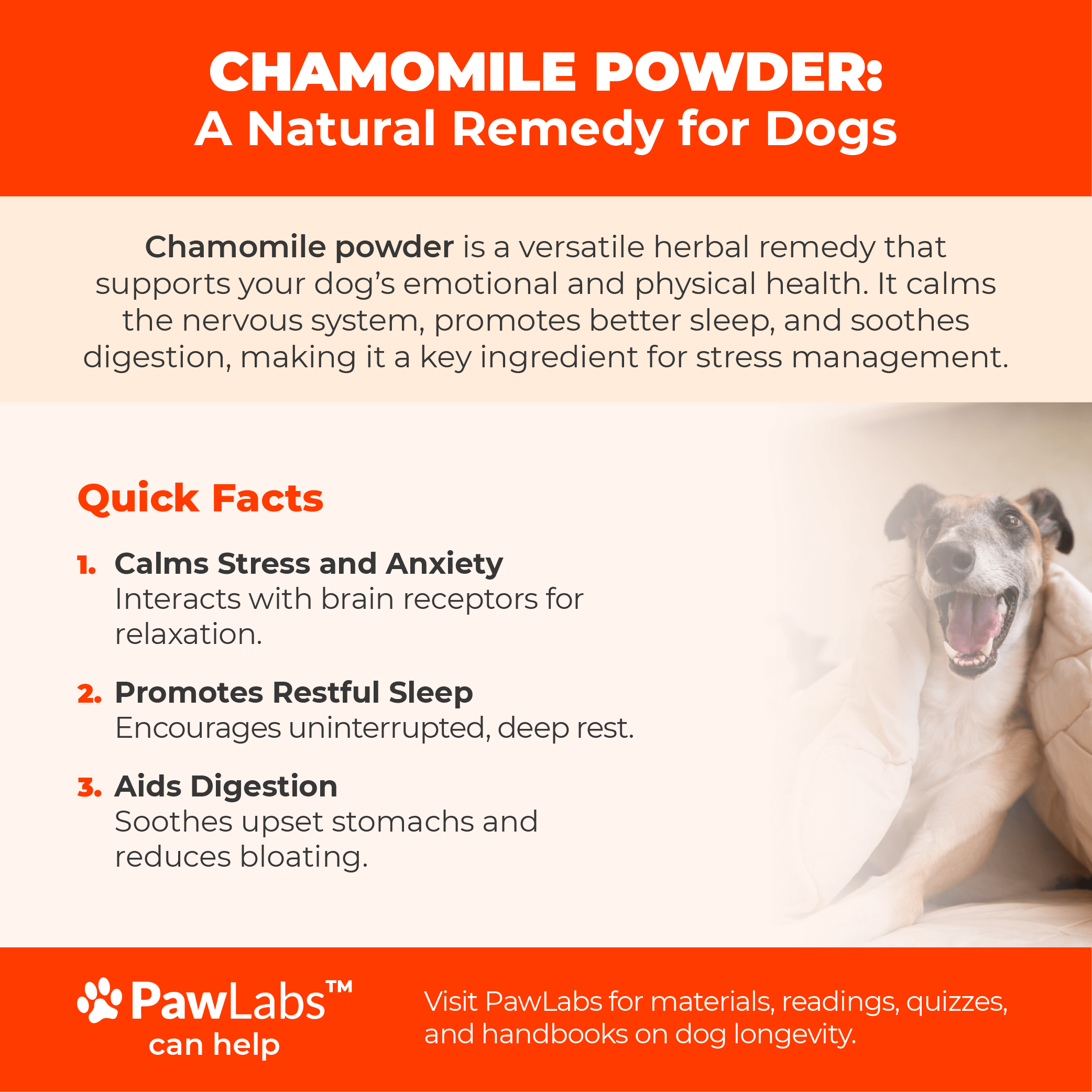 Infographic showcasing the quick facts about chamomile powder for dogs, including its ability to calm anxiety, promote restful sleep, and aid digestion, by PawLabs.