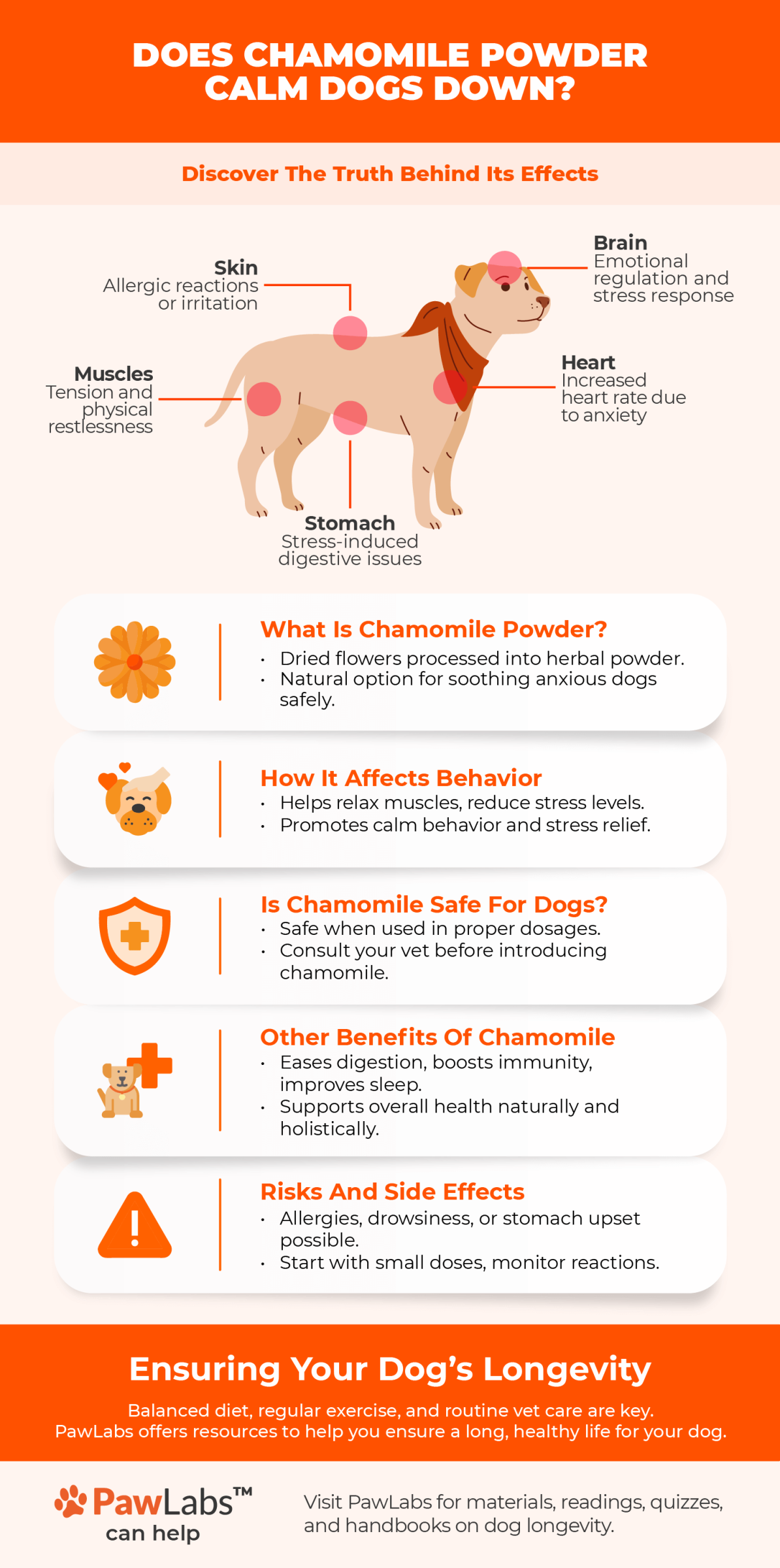 Infographic on chamomile powder for dogs, showing benefits for anxiety relief, digestion, sleep, and safety tips by PawLabs.