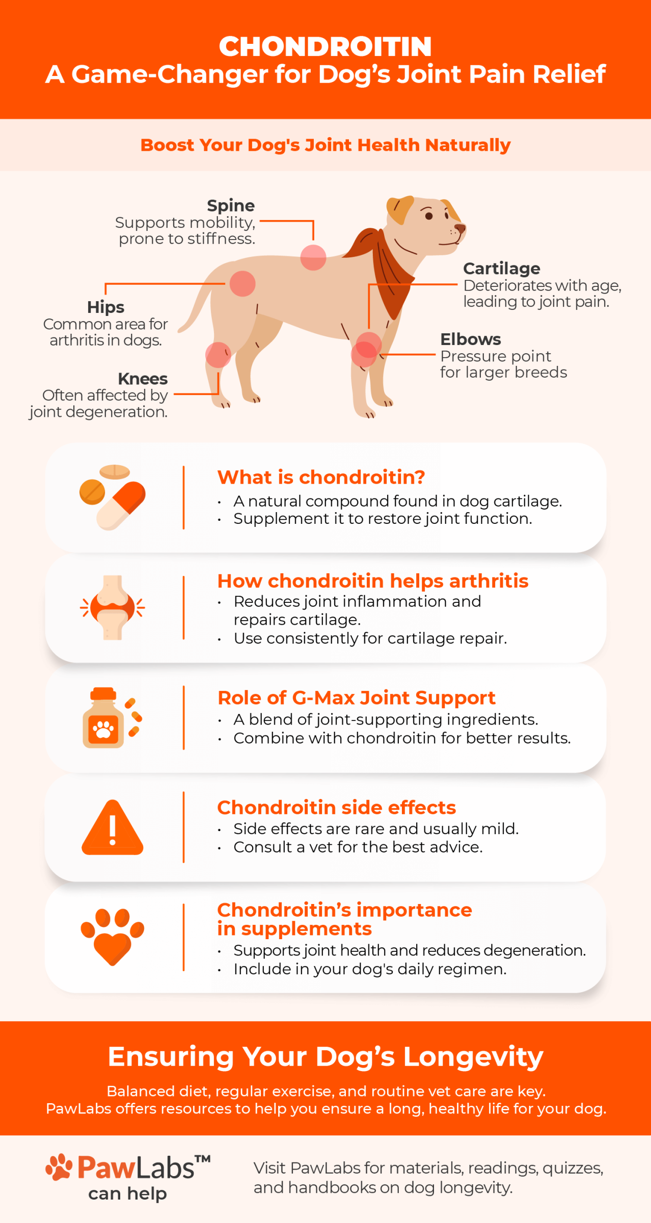 glm infographic