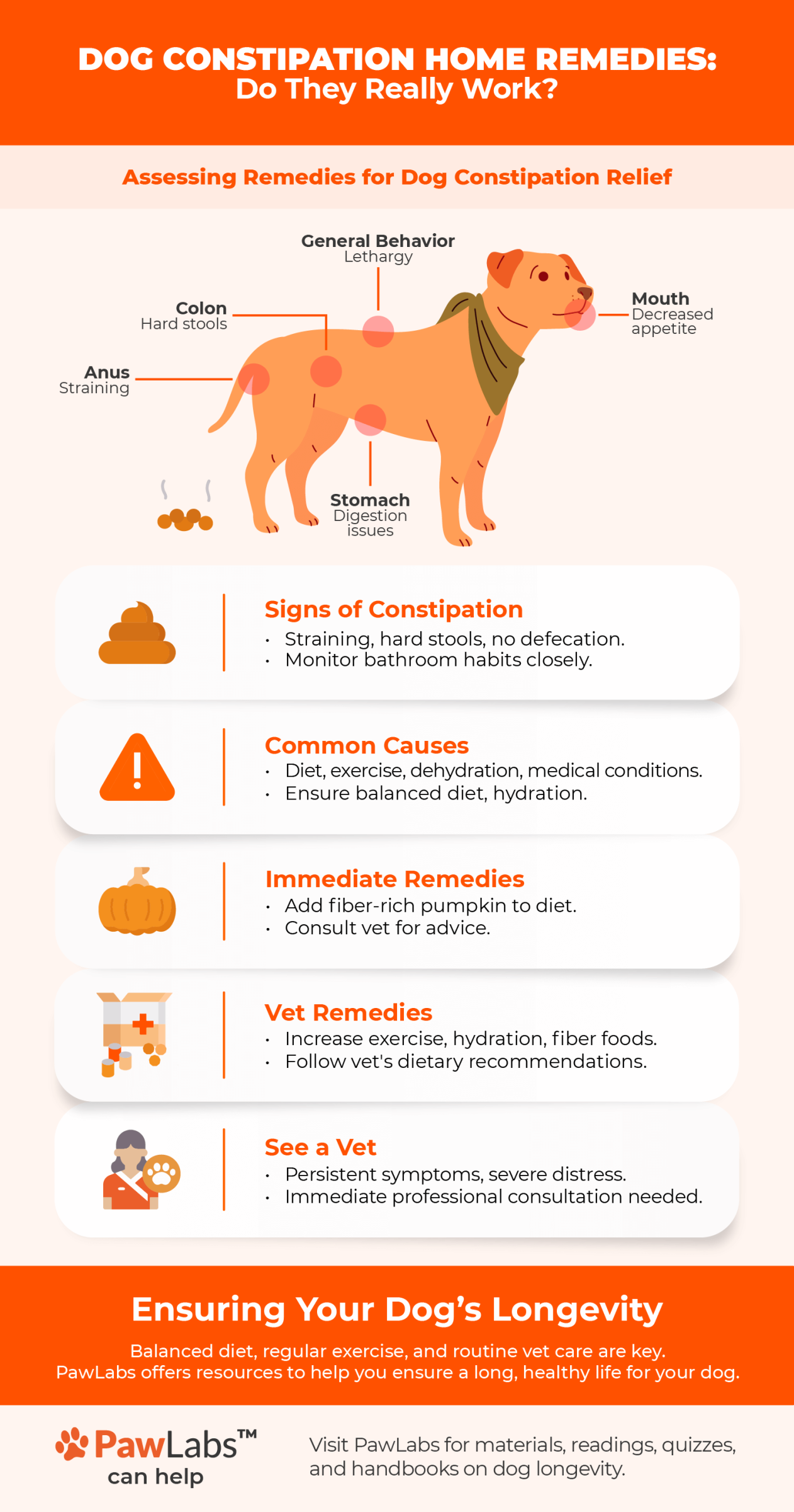 Constipation Infographic