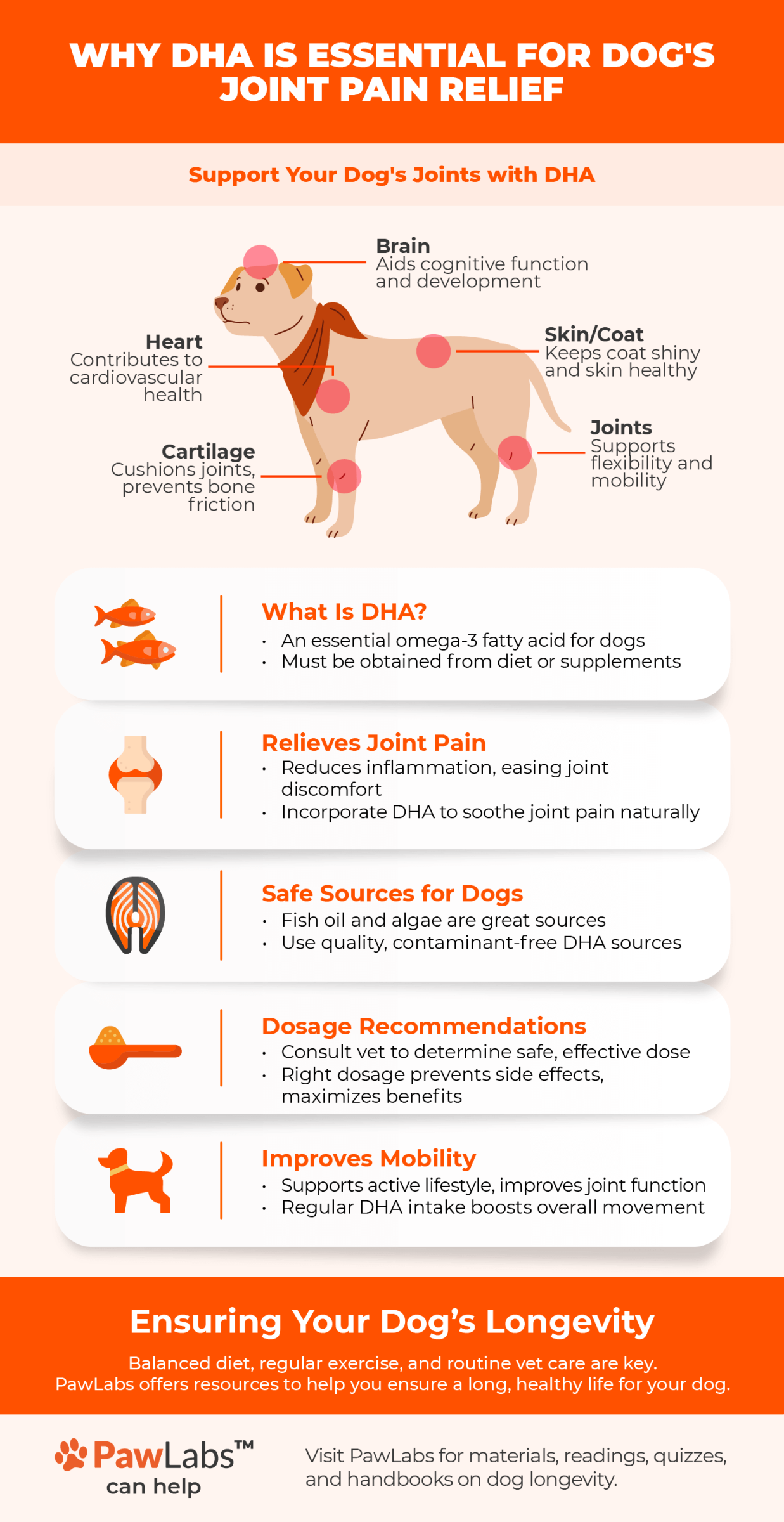 DHA infographic