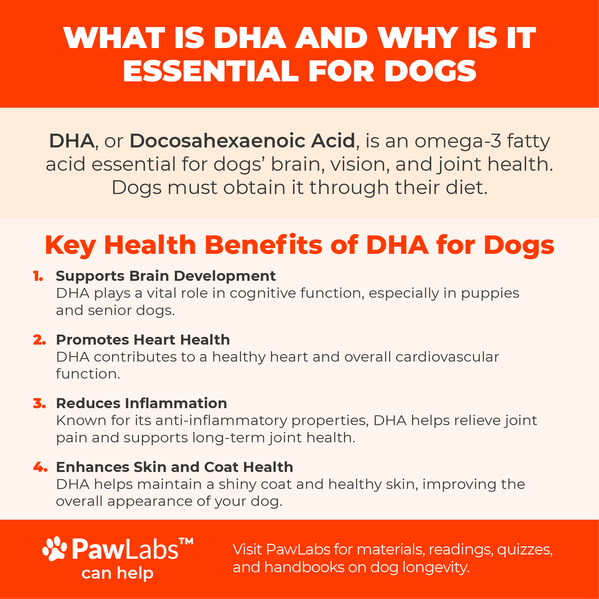 DHA Health Benefits