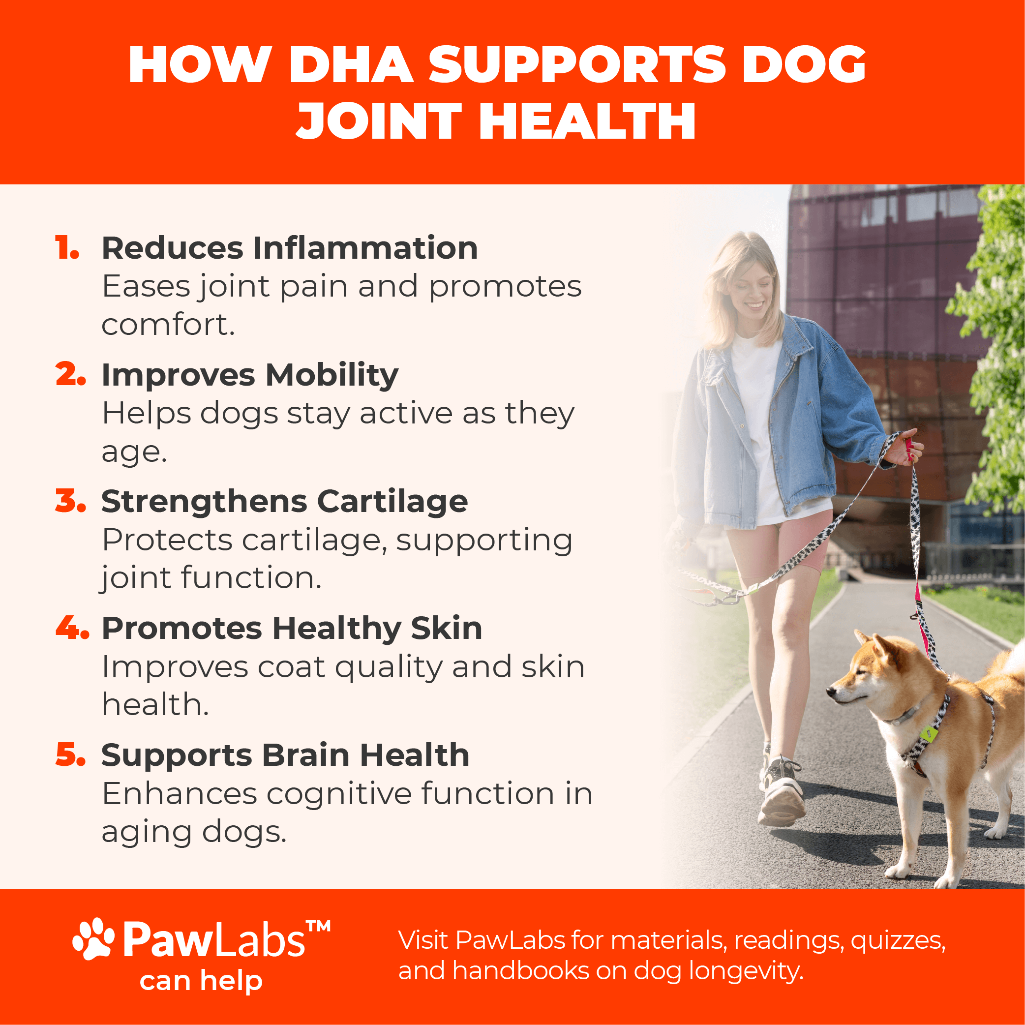 DHA DOG JOINT HEALTH