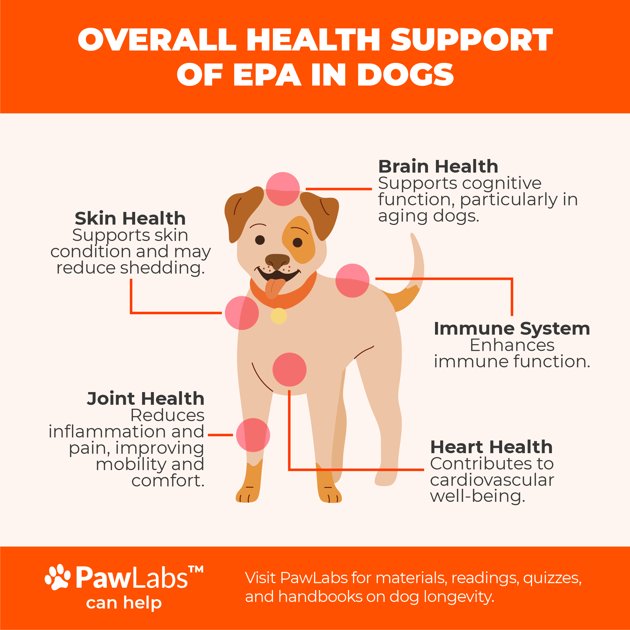 overall health of EPA