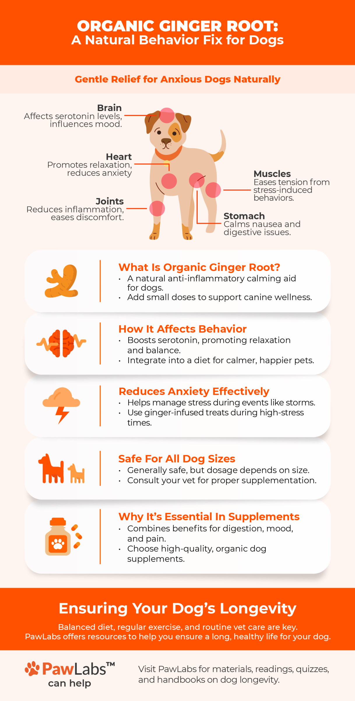 Detailed infographic on Valerian Root, highlighting its calming effects on canines with specific benefits to ears, stomach, paws, brain, and heart, and additional tips on proper usage and benefits in behavior management.