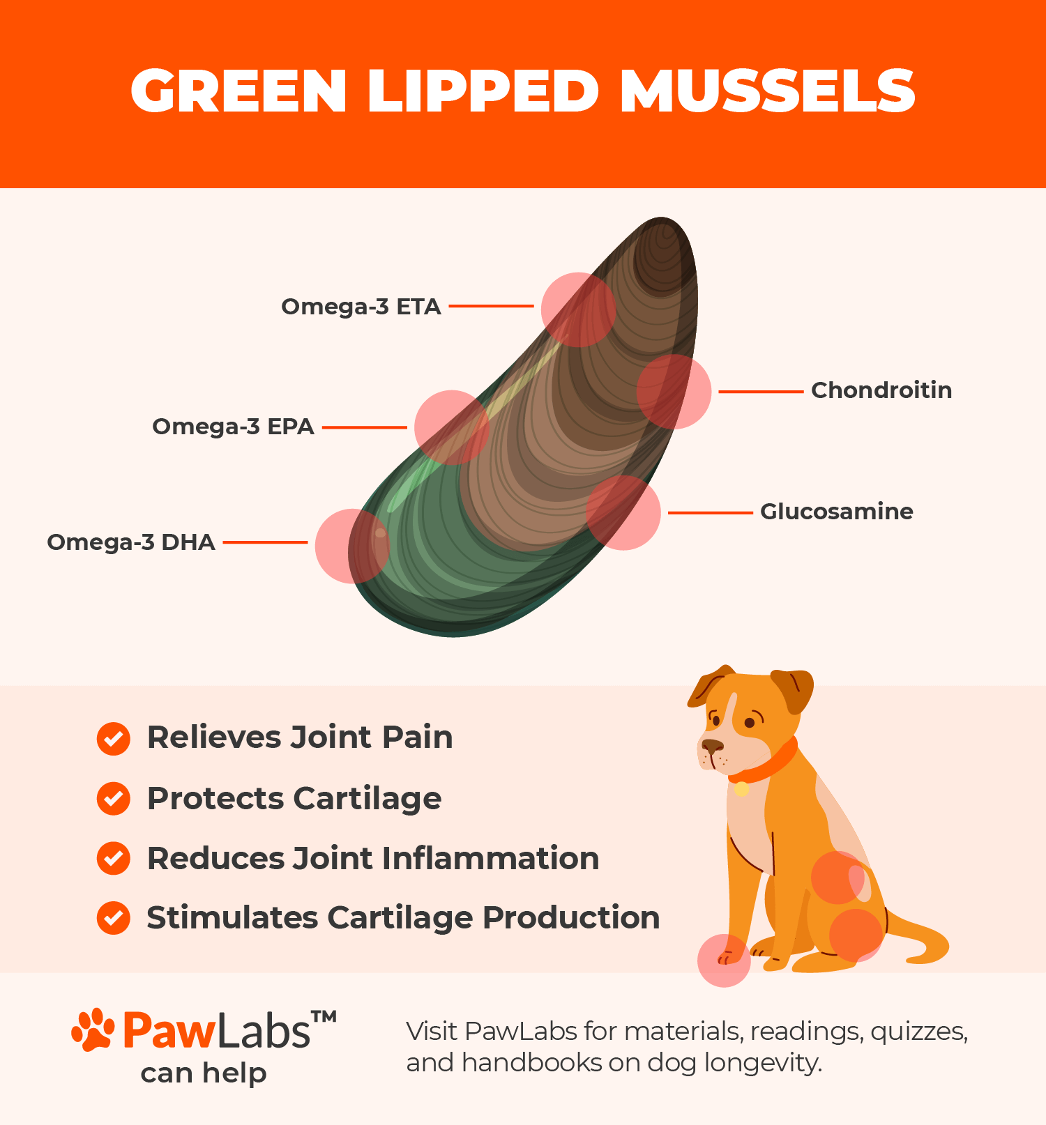 Green-lipped mussel compounds