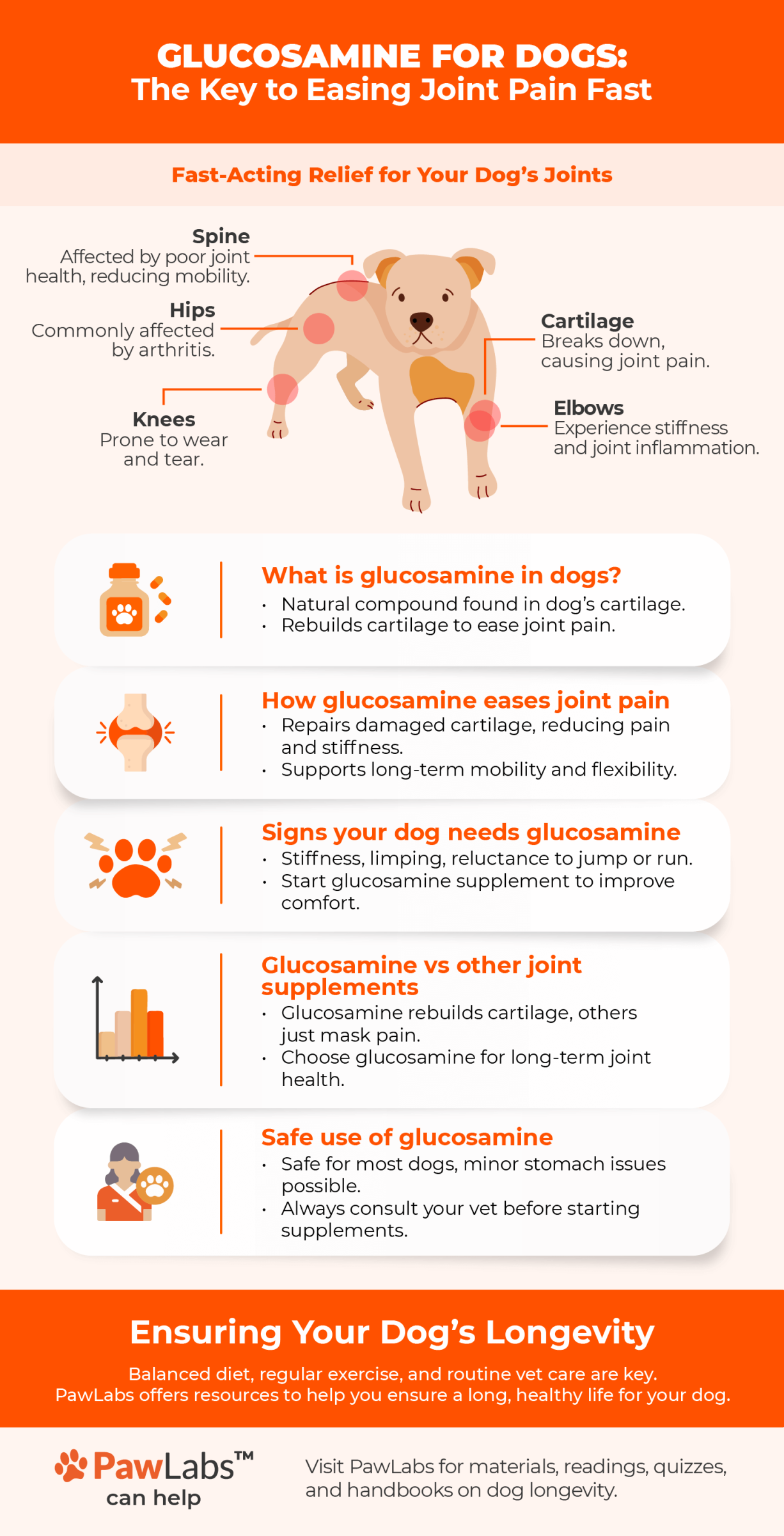 glucosamine infographics