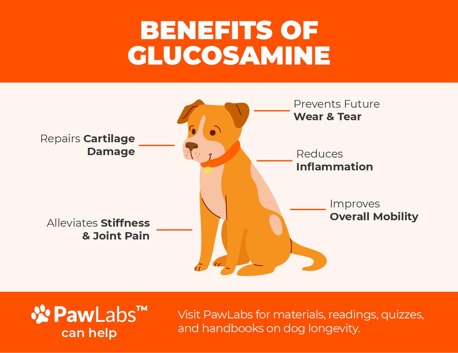 glucosamine benefits 