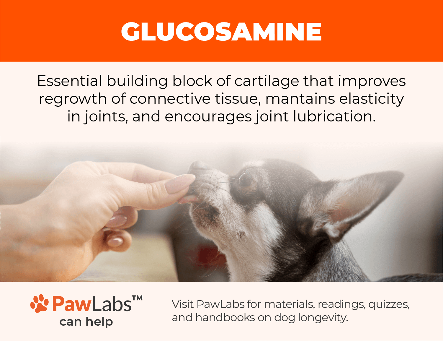 glucosamine 