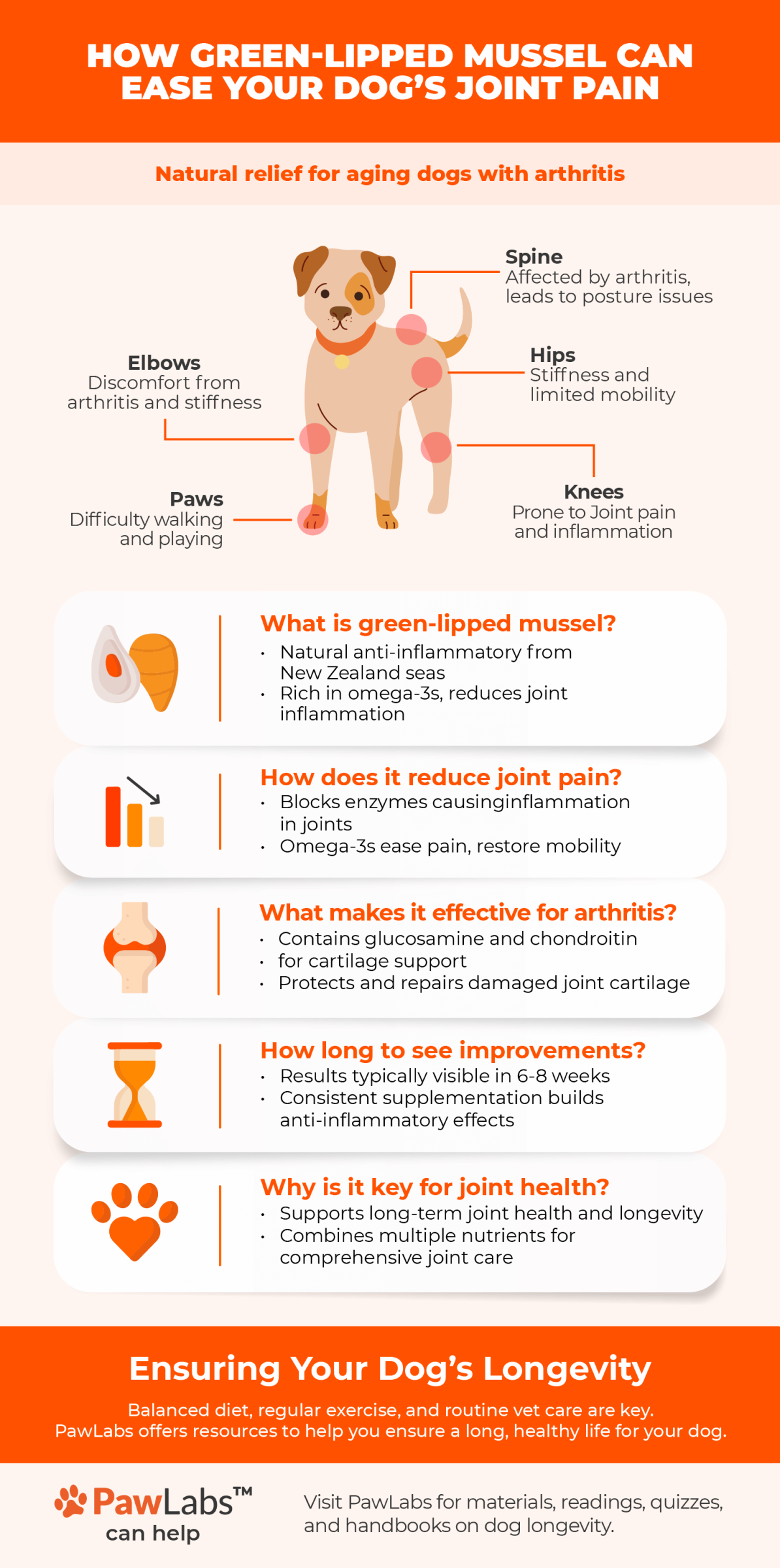 glm infographic