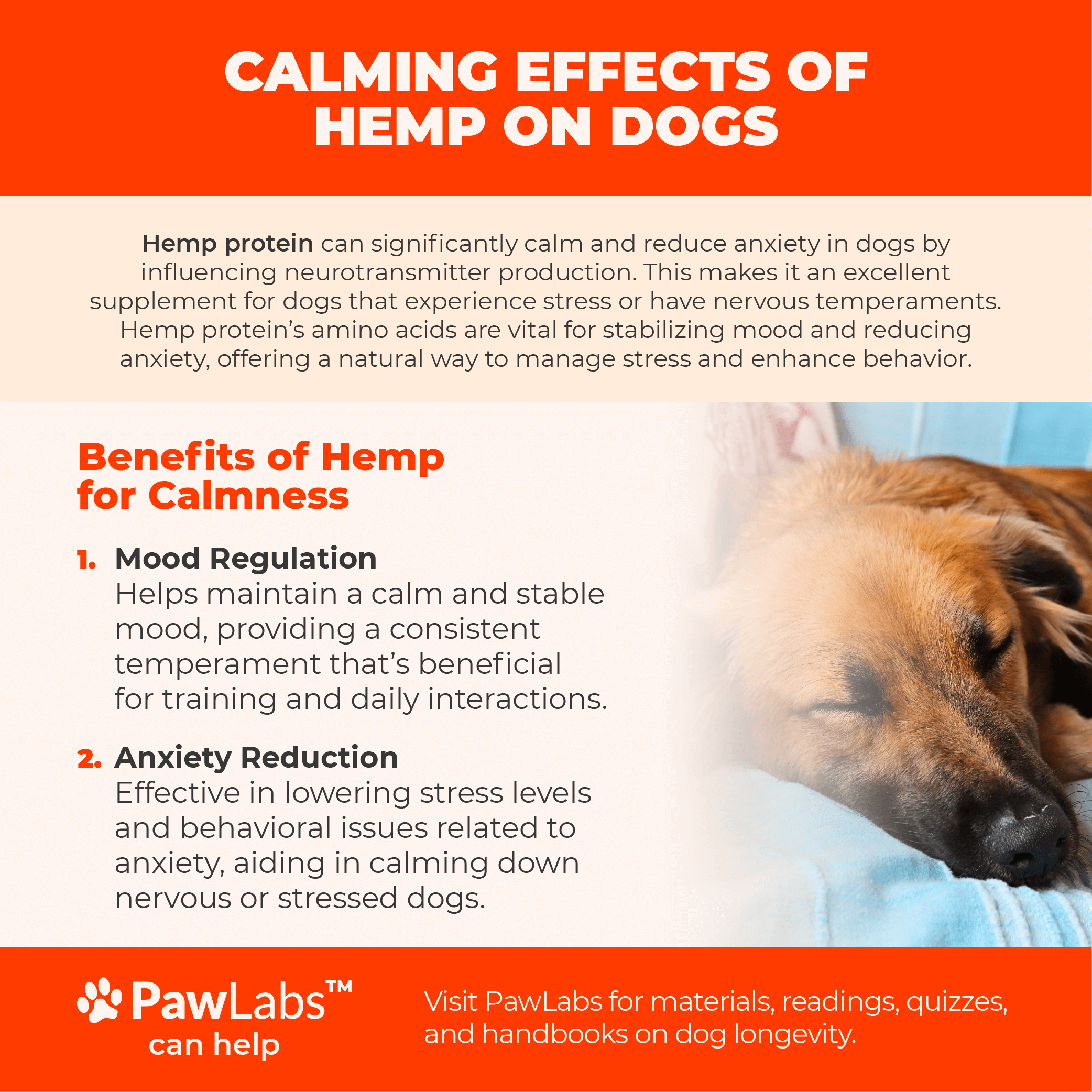 Infographic highlighting the calming benefits of hemp protein for dogs, focusing on mood regulation and anxiety reduction, by PawLabs.